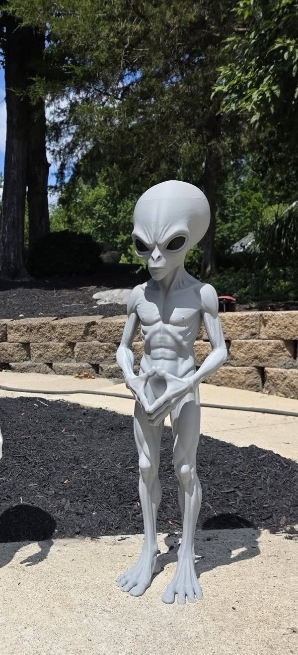 3 Foot Series Alien