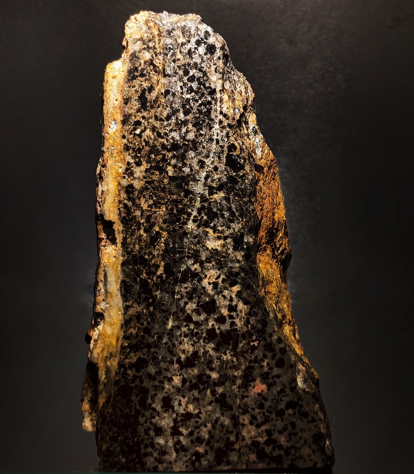 Silvermine MO Koch Shaft Cox Coll. Greisen Polished Slab Fluorescent Scheelite