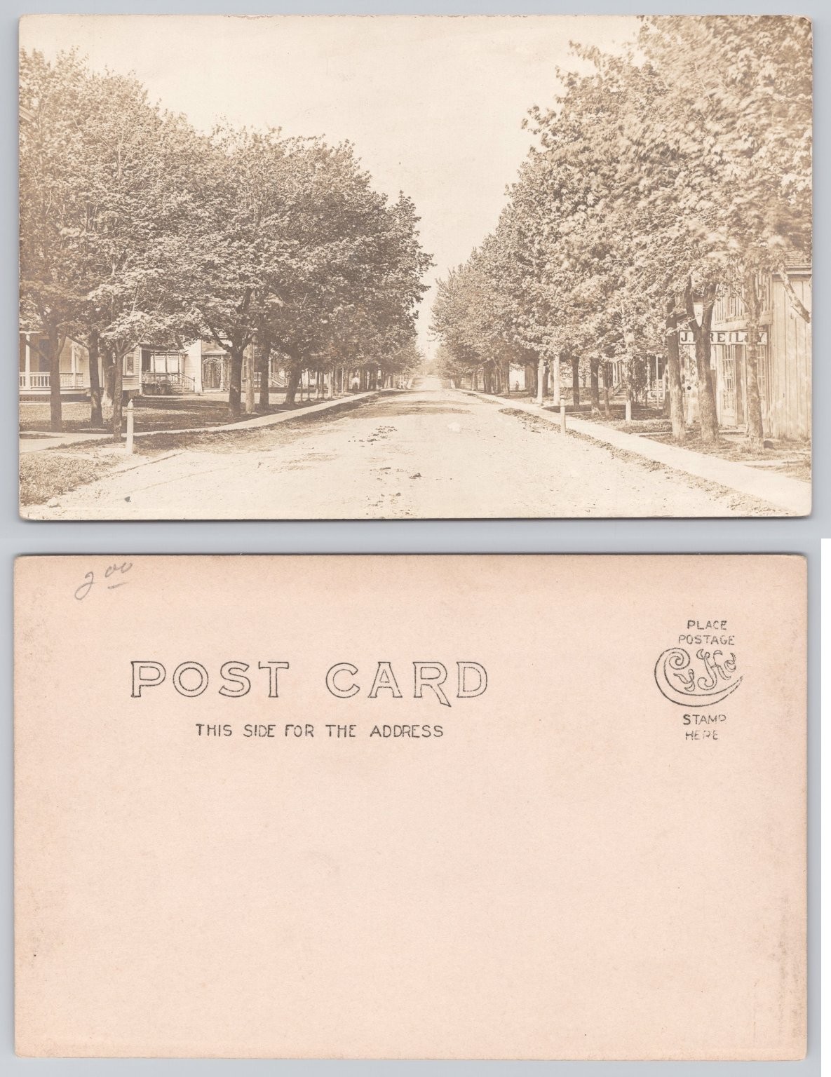 Early 1900s Main Street Tree Lined Residential RPPC Postcard Unposted