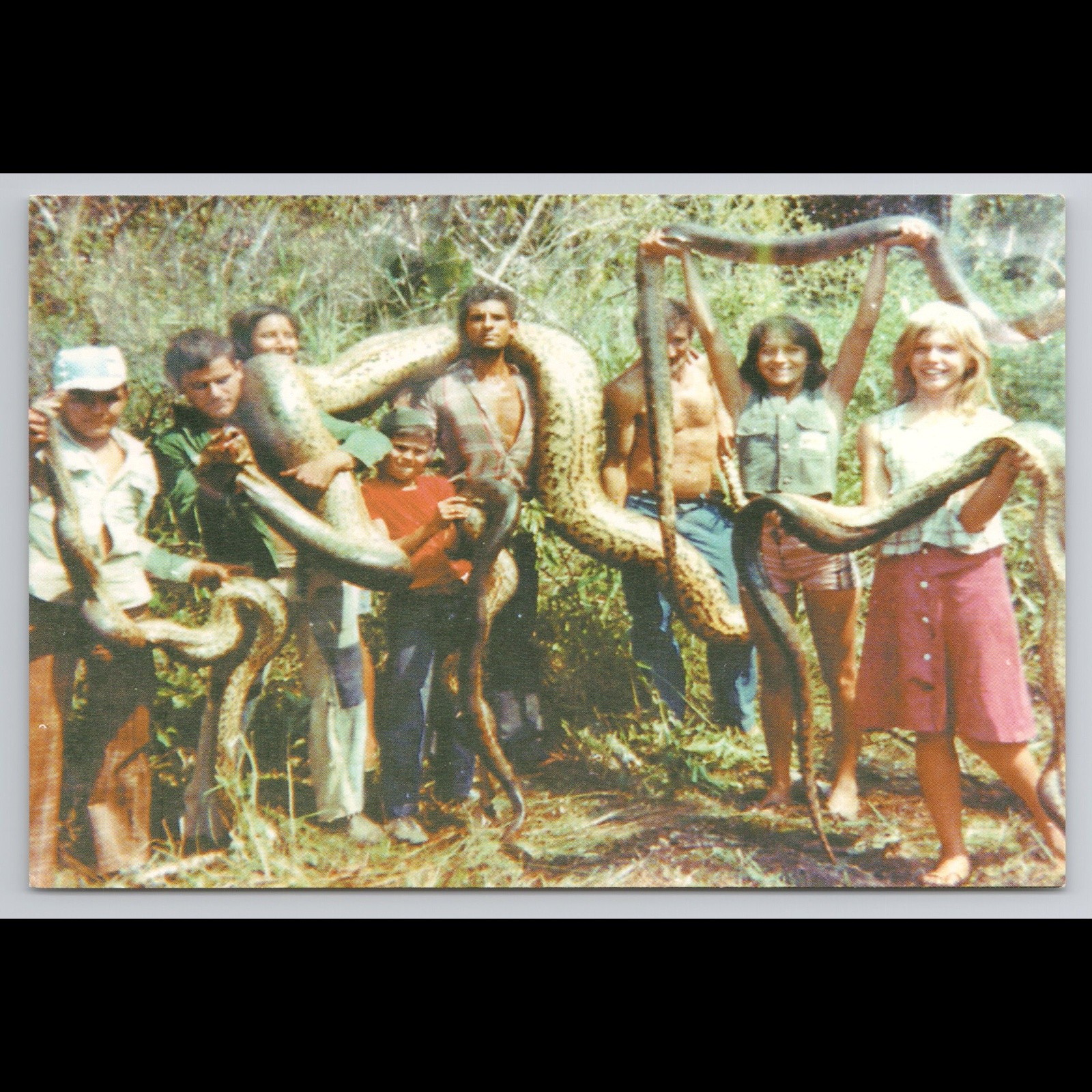 Vintage Postcard Bonito Mato Grosso do Sul Brazil Unposted Snake Scenic View