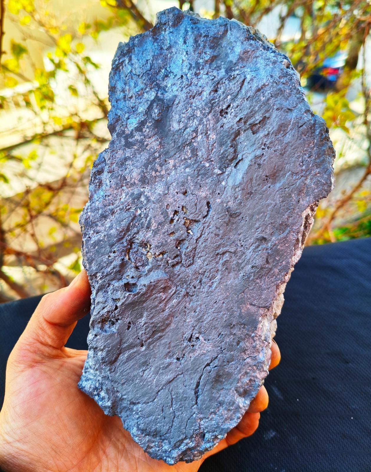 4 Lb 2.1 Oz Big Beautiful Rare Molybdenite Specimen 4 Lb 2.1 Oz Big Beautiful Rare Molybdenite Specimen