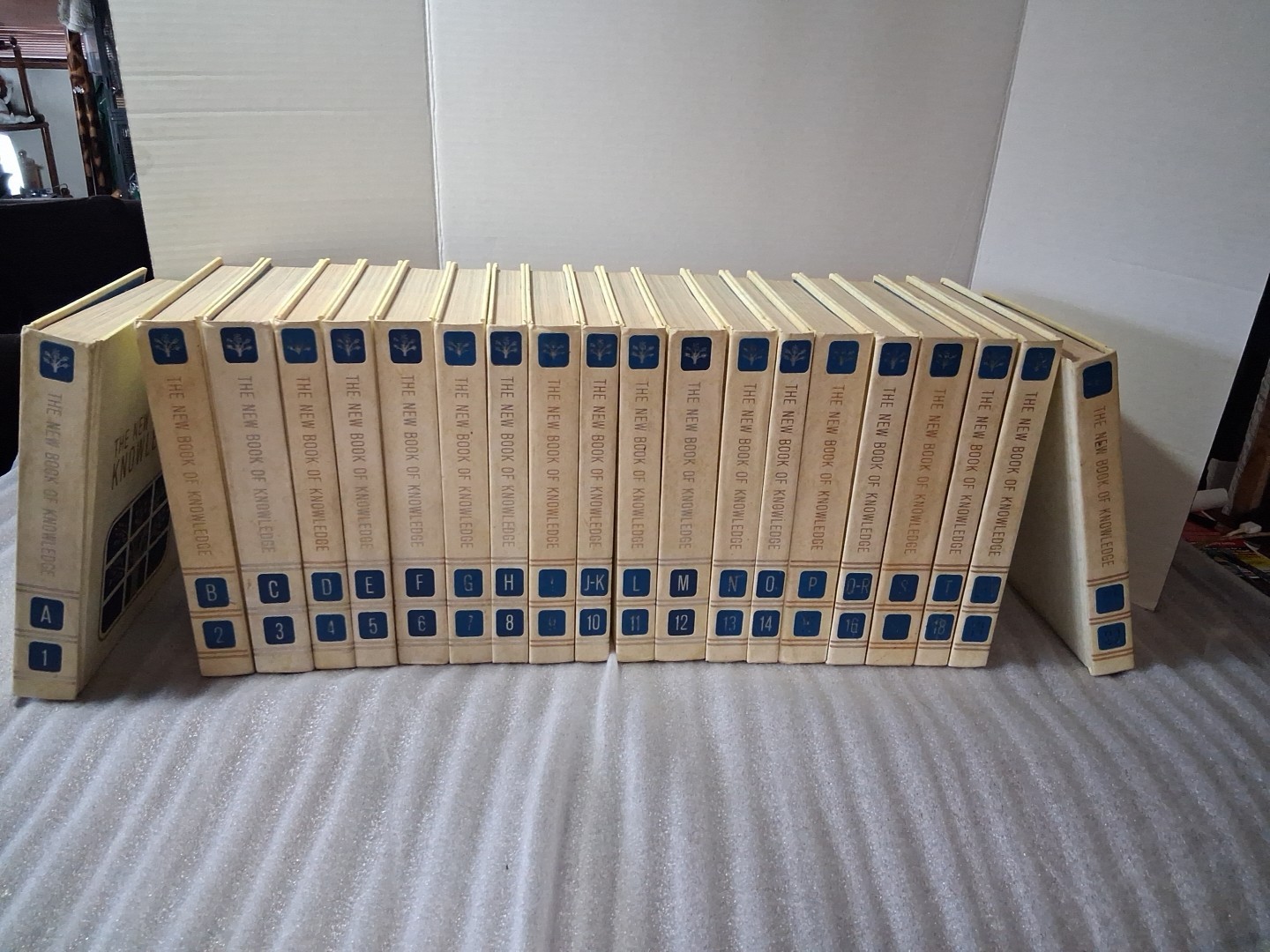 The New Book of Knowledge Encyclopedia Grolier Entire Set A-Z 20 Books