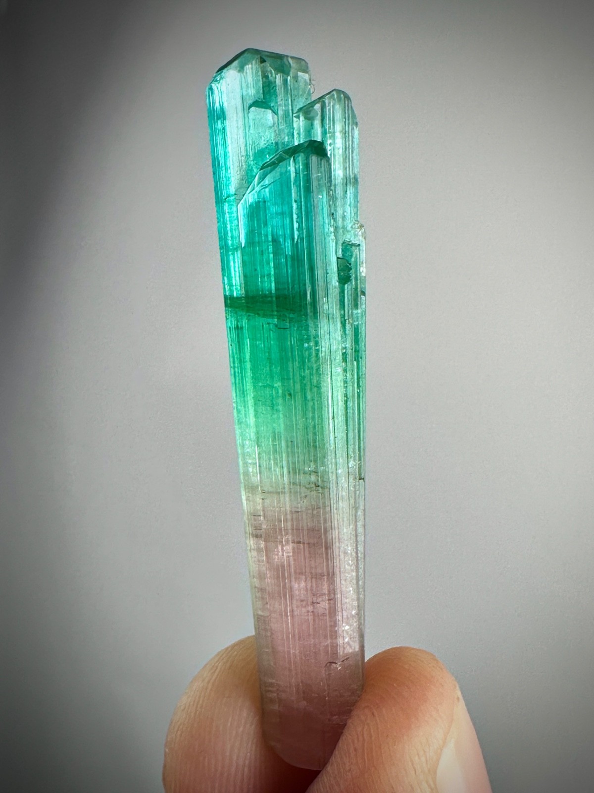 30 Carat Tricolour tourmaline crystal from Afghanistan