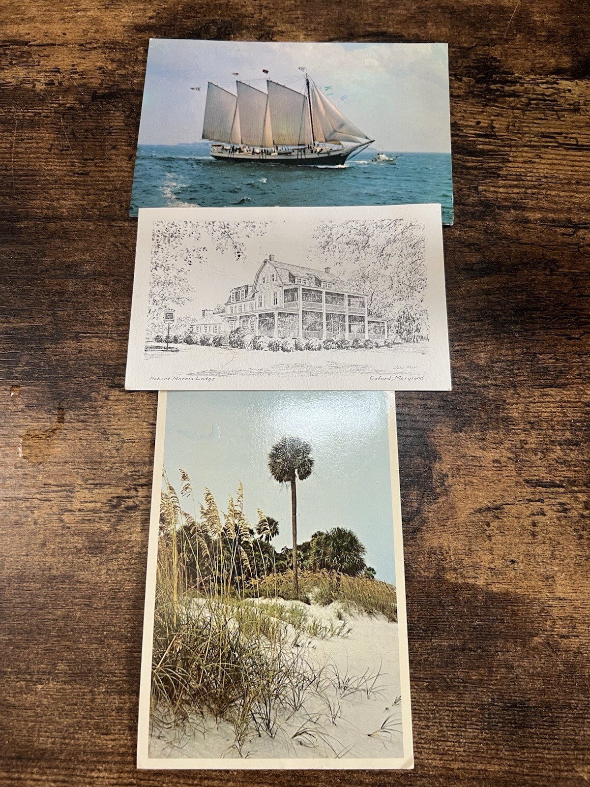 Vintage Postcard Lot of 3 Posted Scenic Travel Views Maine Maryland Florida