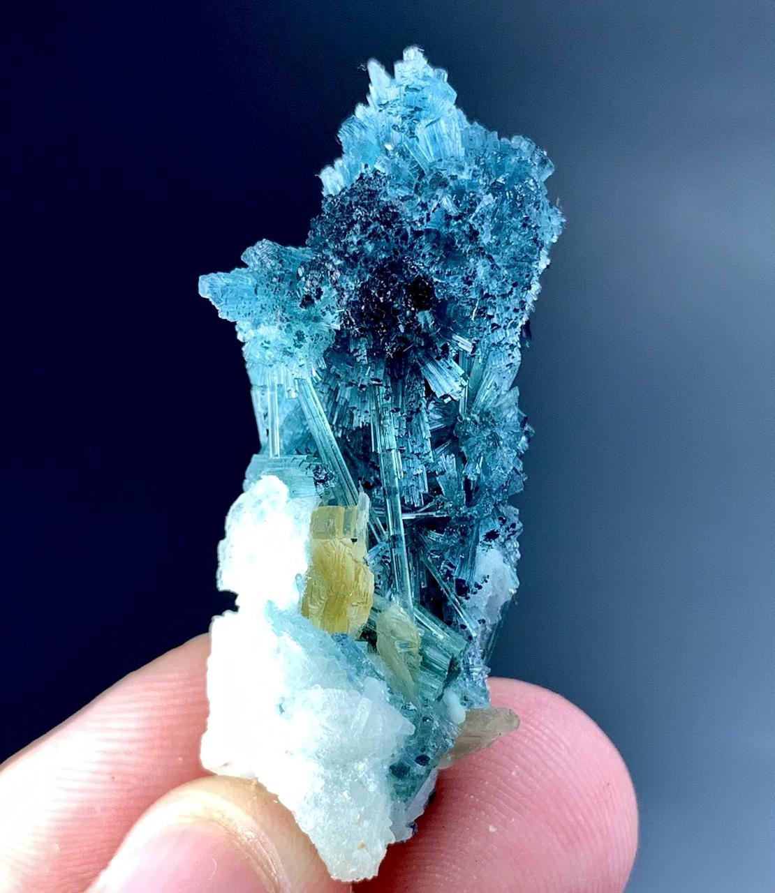 48 Carat Indicolite Tourmaline Crystal Specimen From Afghanistan 