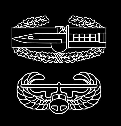 CAB and AIR ASSAULT WINGS Window Sticker Decal - White