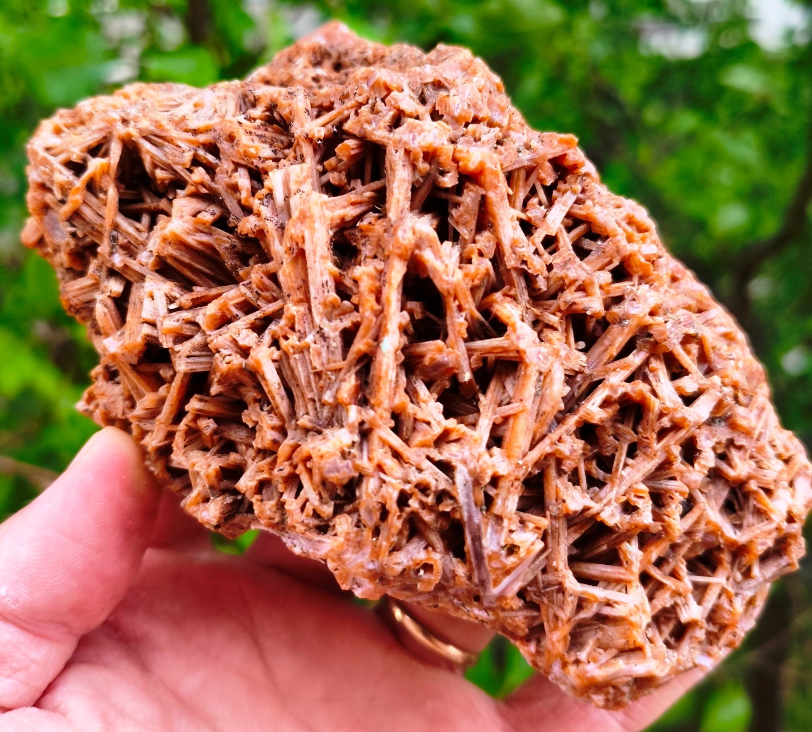 1 Lb 3 Oz Extremely Rare Agate Pseudomorph After Zeolite 1 Lb 3 Oz Extremely Rare Agate Pseudomorph After Zeolite