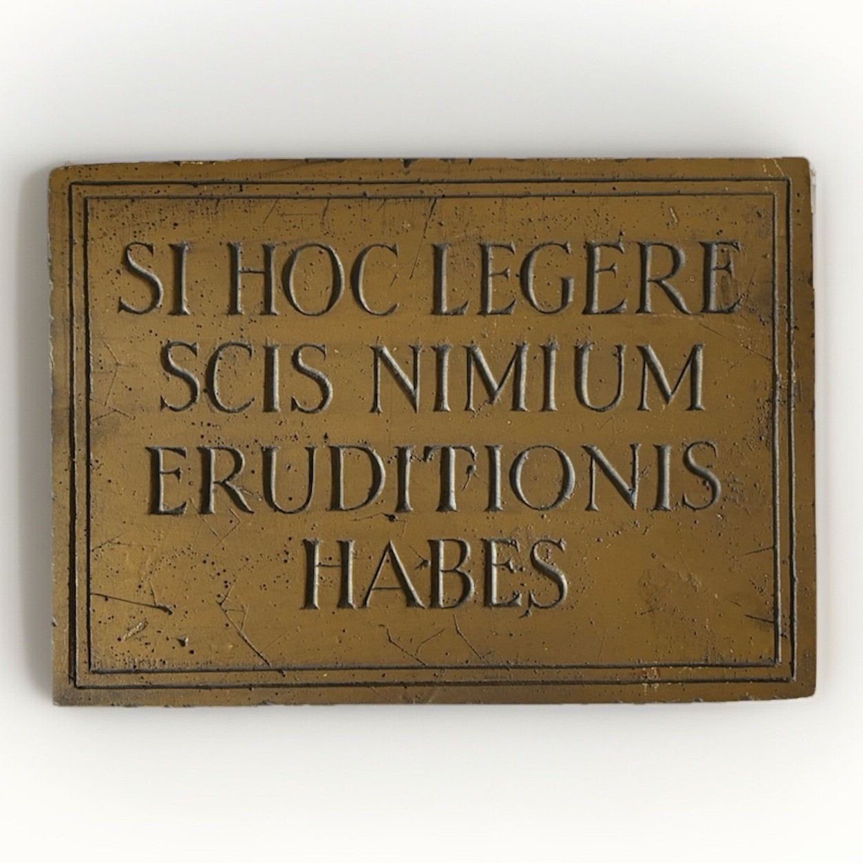 Original Al Pisano Wall Plaque Latin: If You Can Read This You Are Overeducated