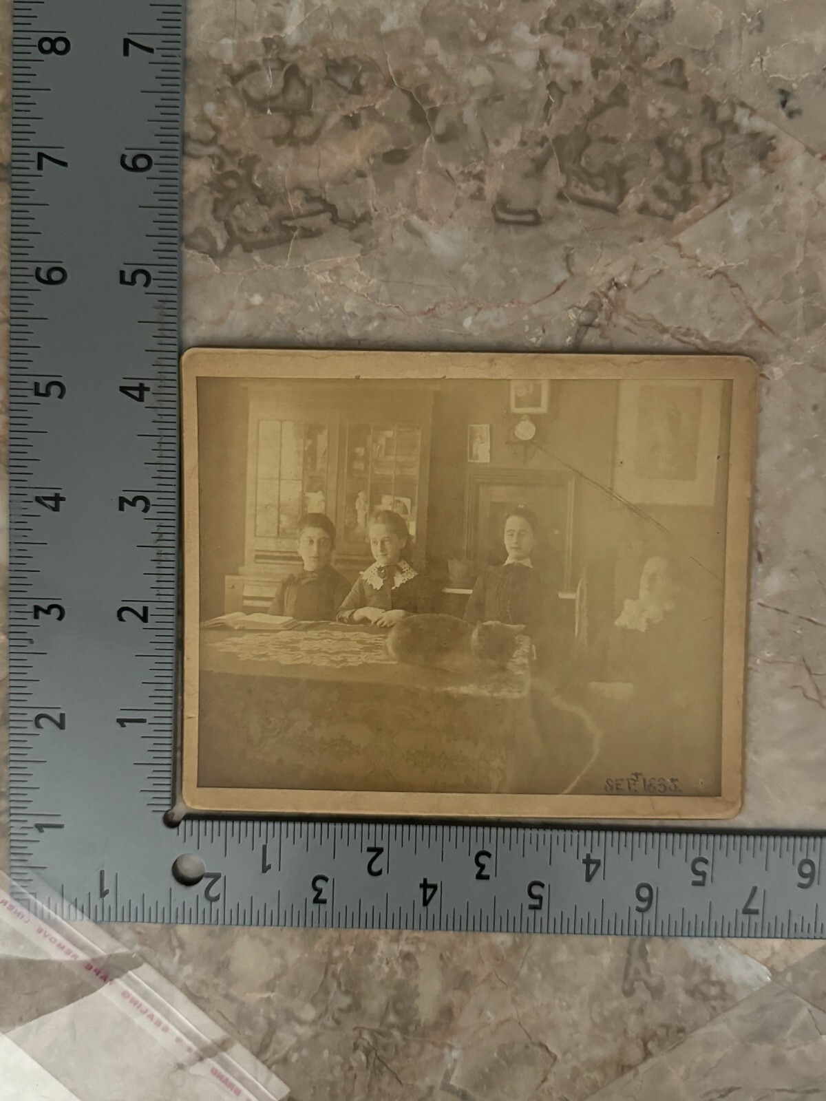 Sept 1885 Cabinet Card Photo 4 Women Sitting Cat on Table 