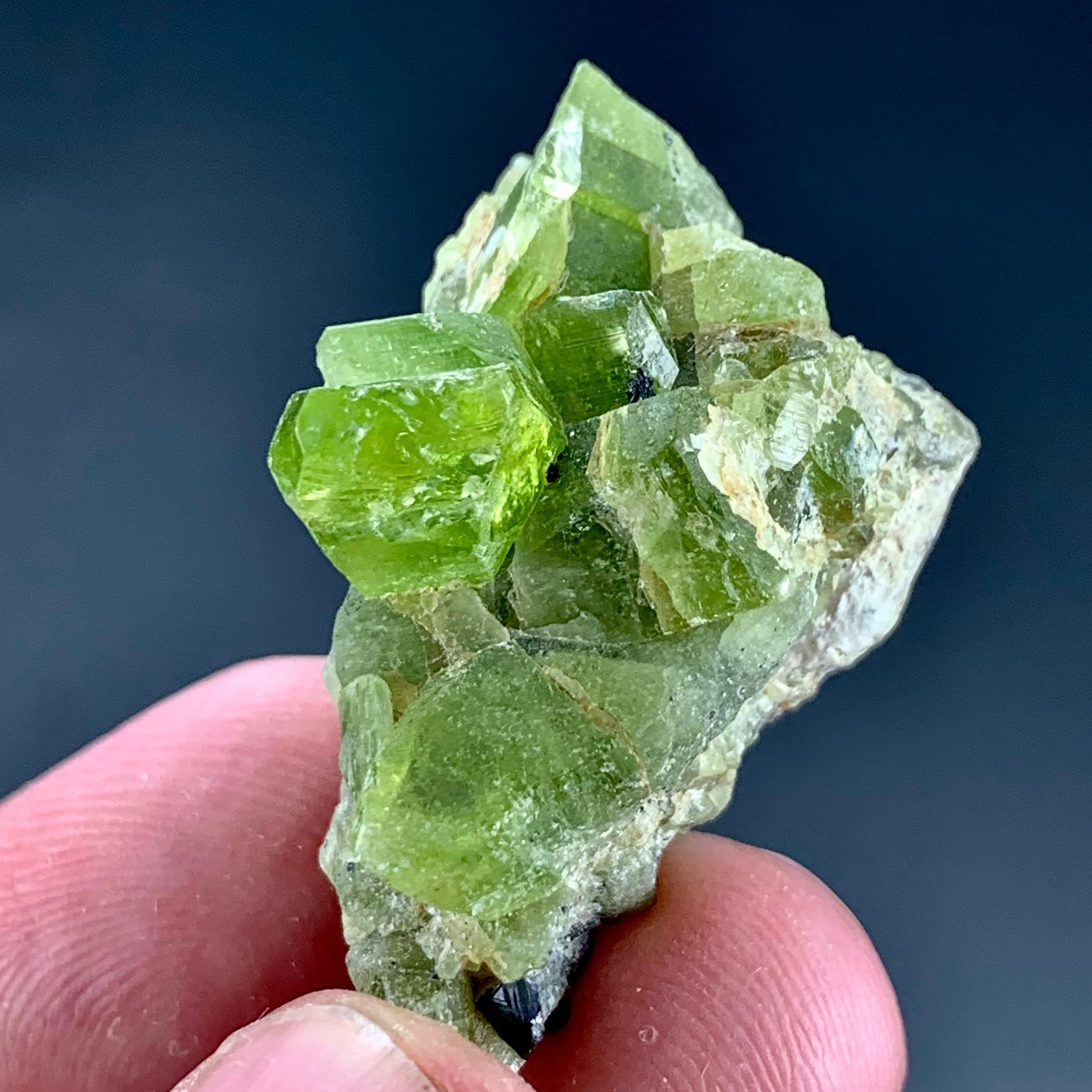 79 CT Terminated Natural Peridot Crystals Bunch SpecimenFrom Pakistan