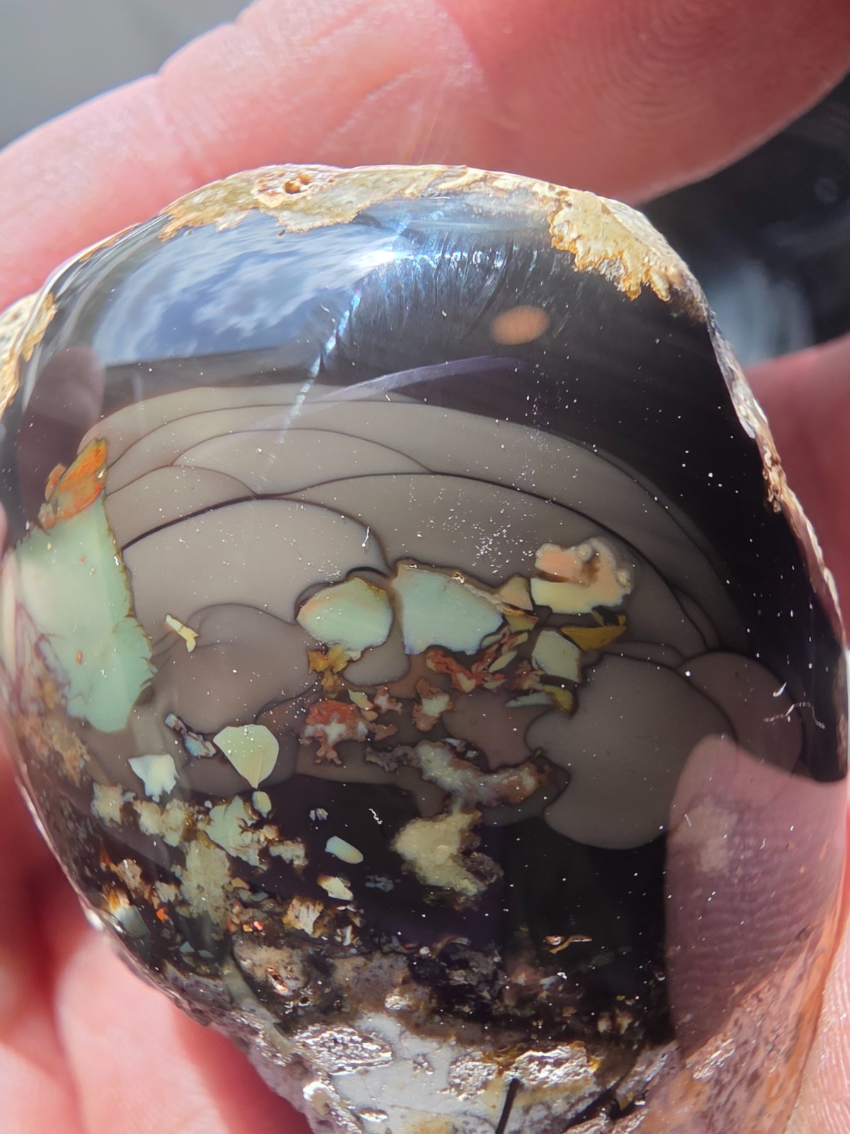 Rare Orbicular, brecciated , Whisky Creek Jasper polished Chunk RARE Rare Orbicular, brecciated , Whisky Creek Jasper polished Chunk RARE