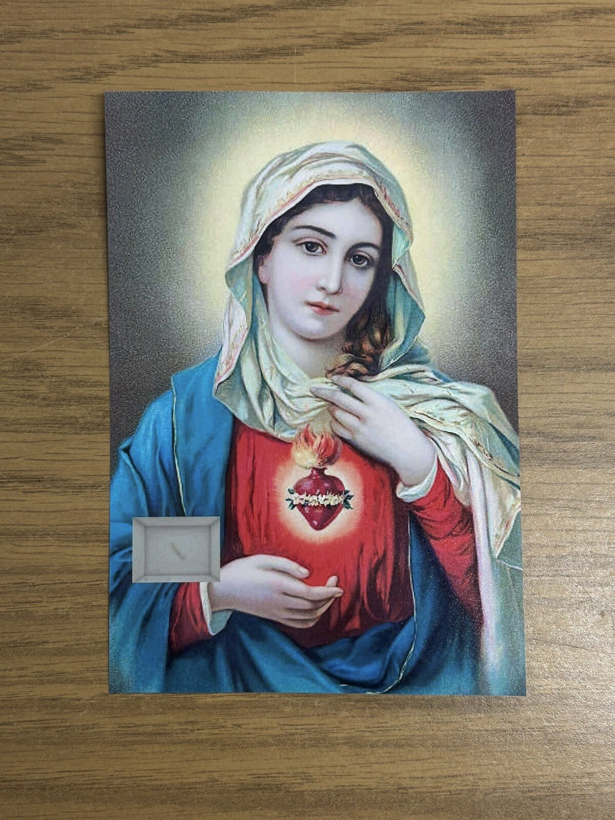 Virgin Mary relic Photo Display Catholic Church Hair Strand Speck Holy