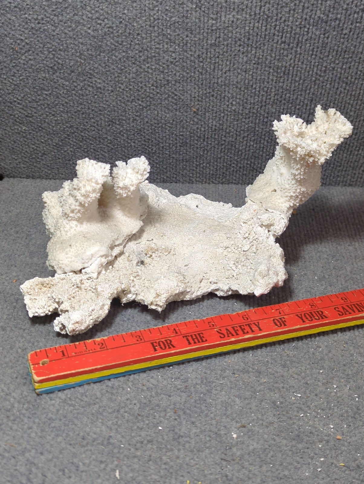VTG Large Natural White Branching Coral Reef Decor Ocean Sea Aquarium 8x6x7\