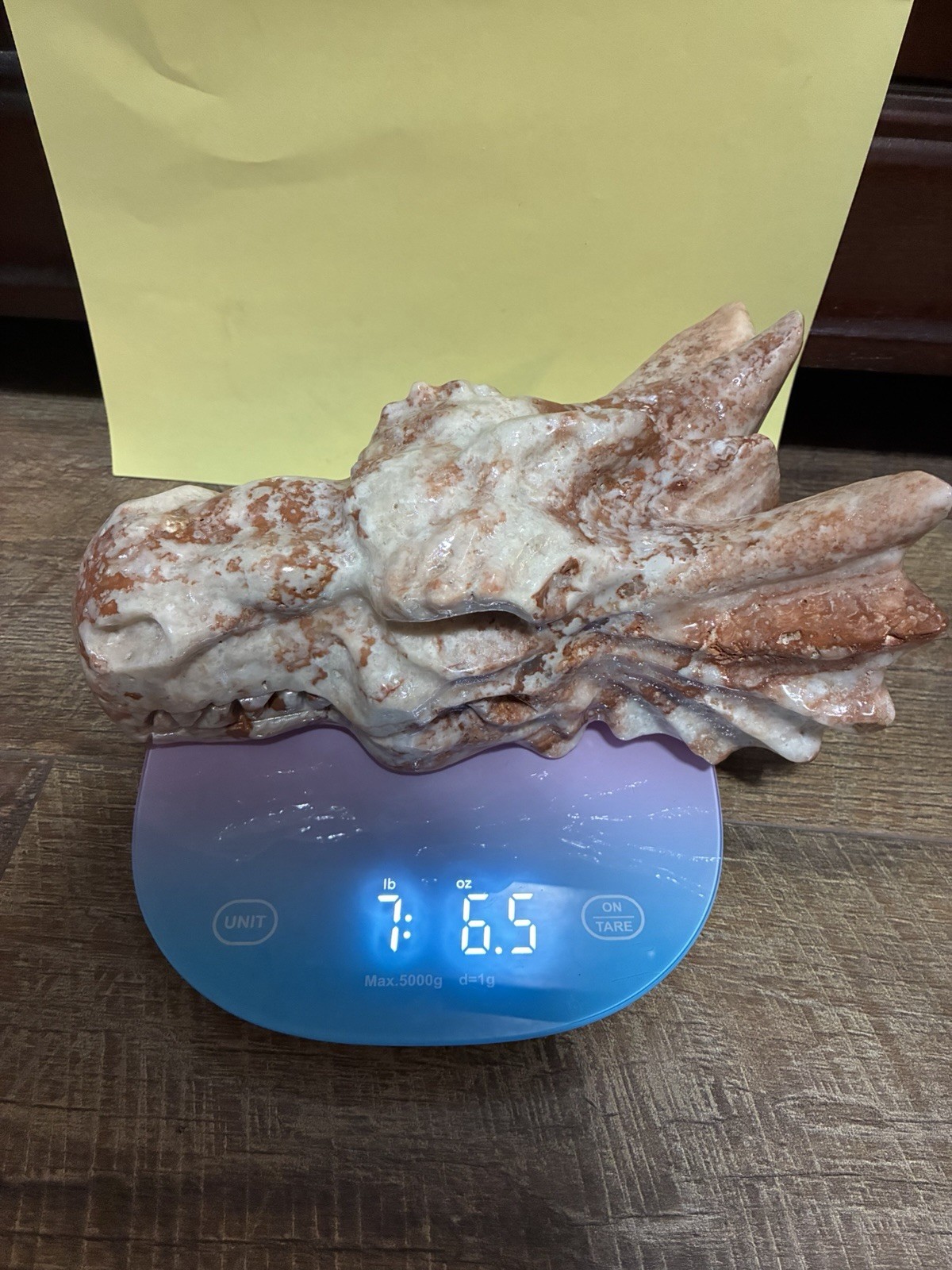 Giant  7lb 6oz Calcite Crystal Dragon Head Carving