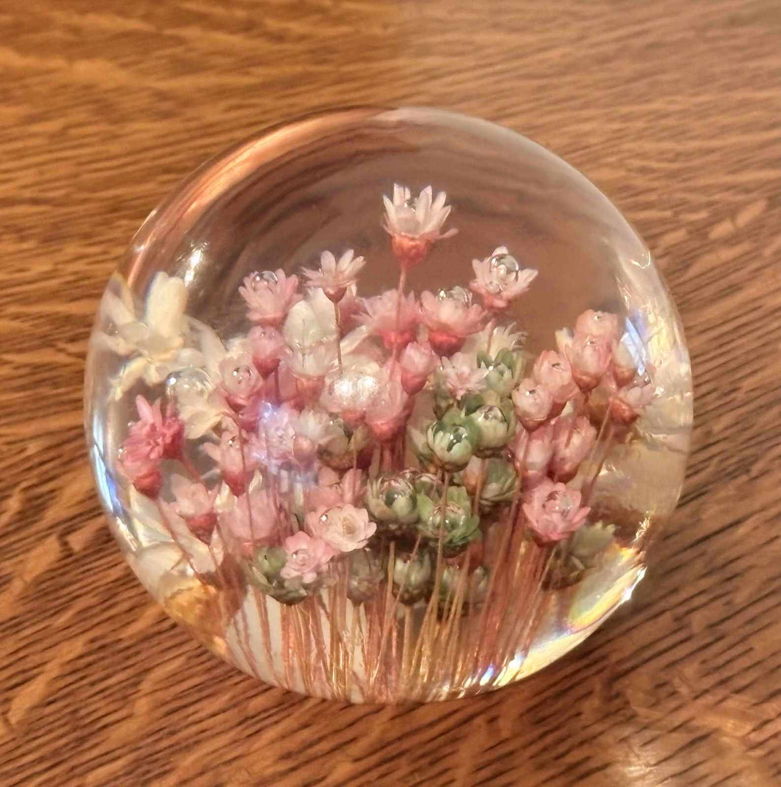 Vintage Wildflowers Paperweight Daisyglas Co Handmade Decorative Acrylic 4\