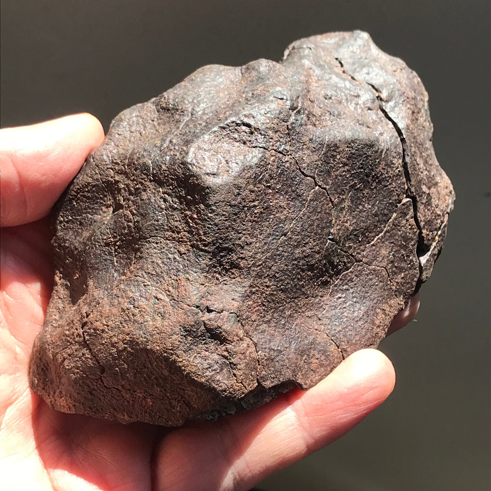 NWA Original Ordinary Chondrite Meteorite 541.4 Grams Fusion Crust Unclassified NWA Original Ordinary Chondrite Meteorite 541.4 Grams Fusion Crust Unclassified