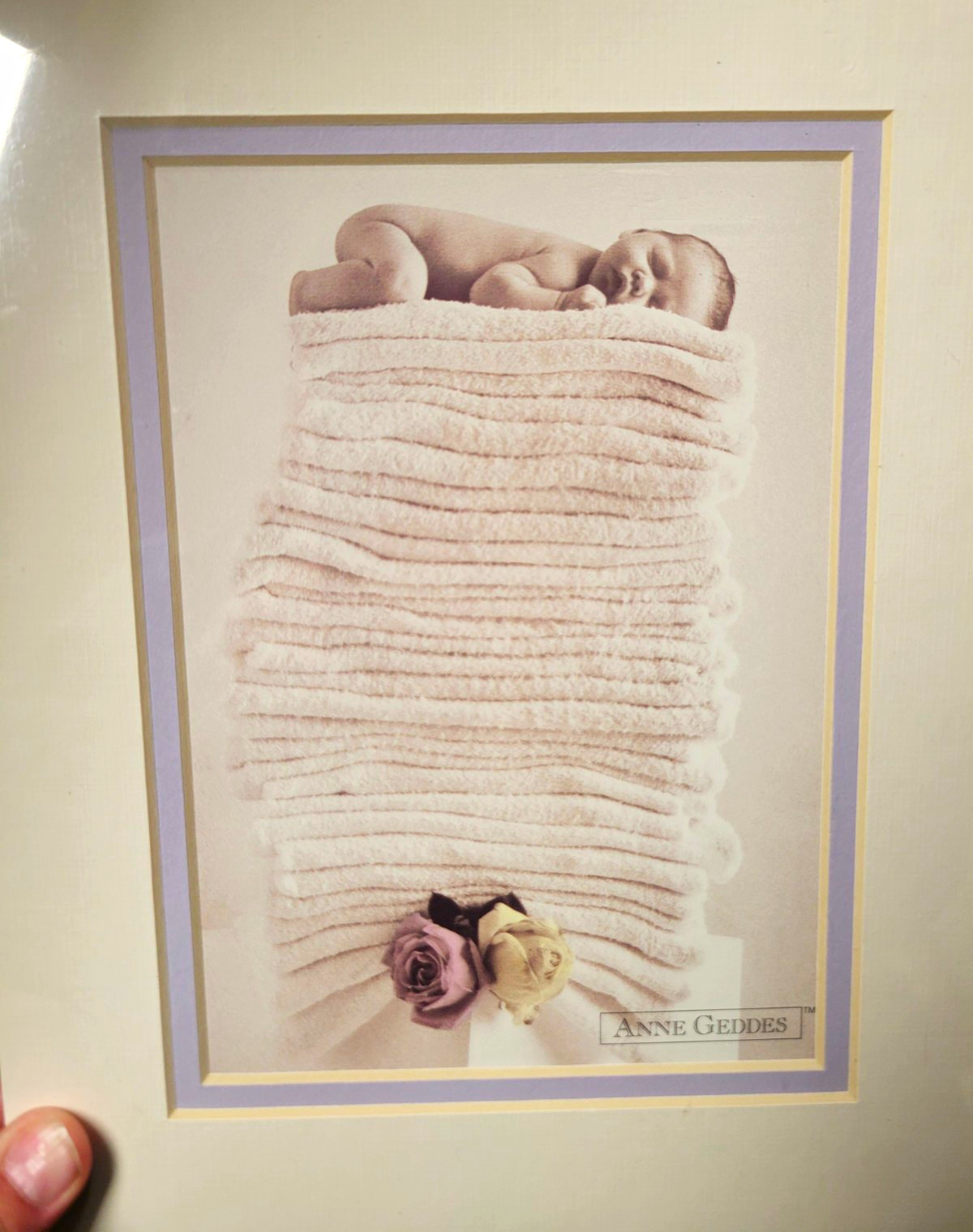 Anne Geddes Matted Sleeping Baby Print on Pink Blanket Wall Decor