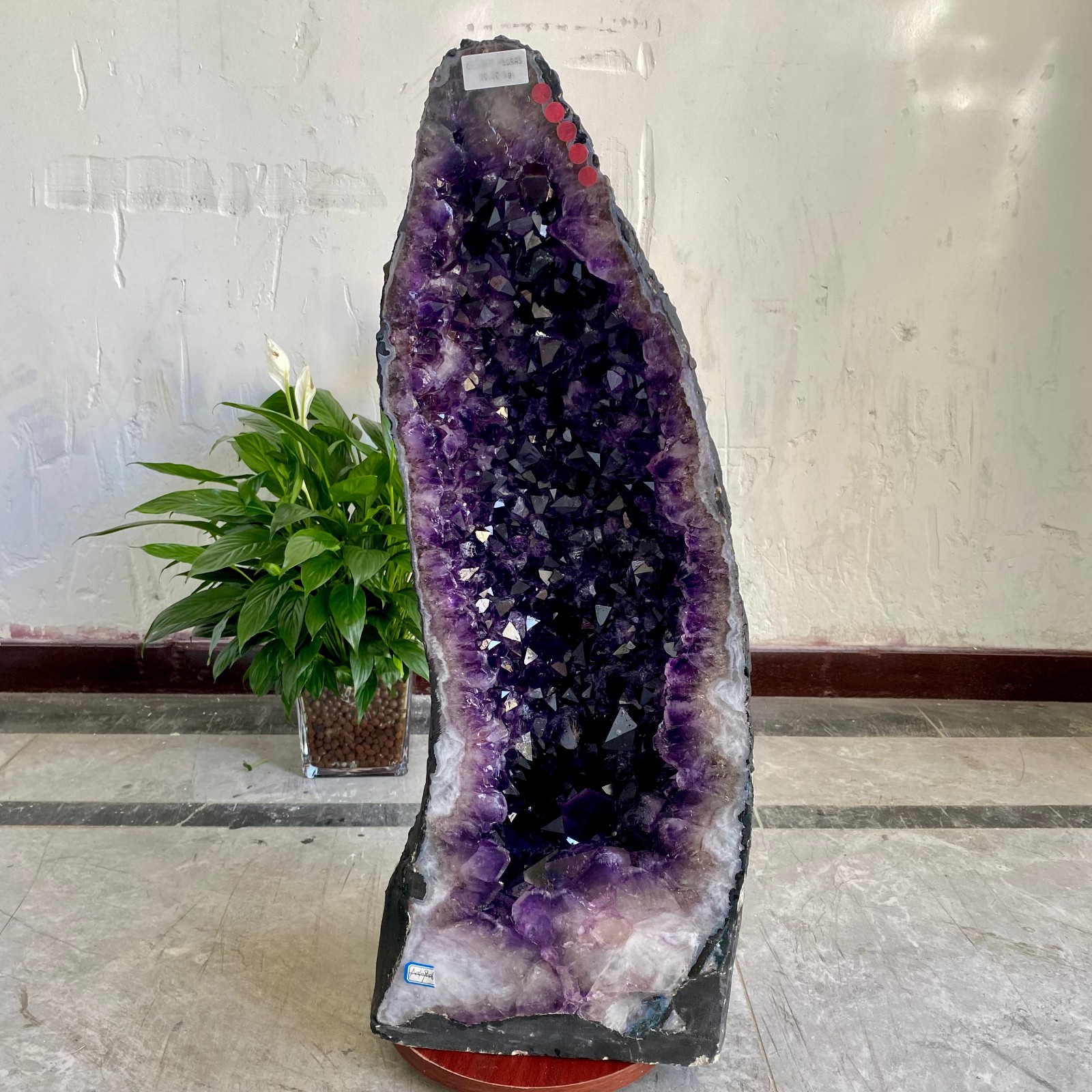 77.16LB  Large Natural Amethyst Geode Cathedral Crystal Cluster Specimen Healing