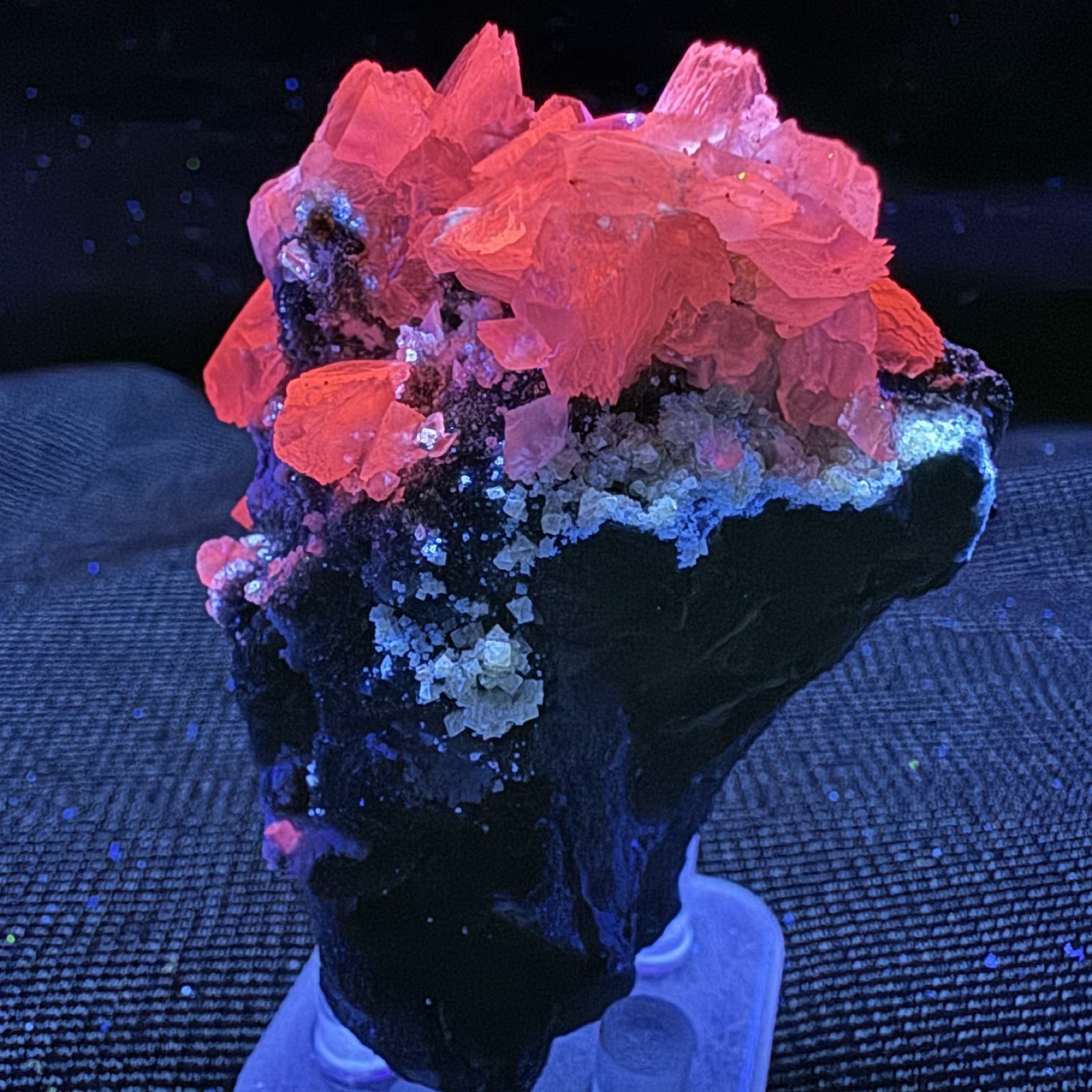 Fluorescent Scheelite & Calcite Xls: Ophir Hill Mine, Ophir, Toole County, Utah Fluorescent Scheelite & Calcite Xls: Ophir Hill Mine, Ophir, Toole County, Utah