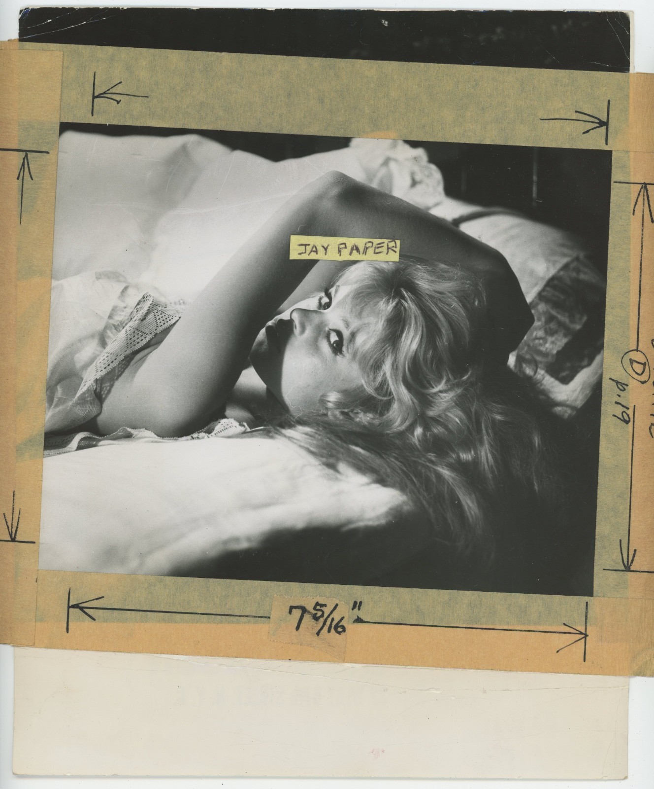 BRIGITTE BARDOT Peter Basch 1958 Original Photo For Brigitte Book