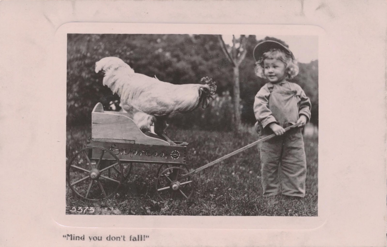Antique RPPC Real Photo Postcard Child Rooster Chicken Bird Wagon Davidson Bros Antique RPPC Real Photo Postcard Child Rooster Chicken Bird Wagon Davidson Bros