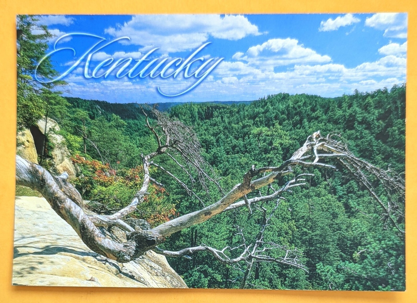 Postcard KY. Beautiful Kentucky. Mountains Postcard KY. Beautiful Kentucky. Mountains