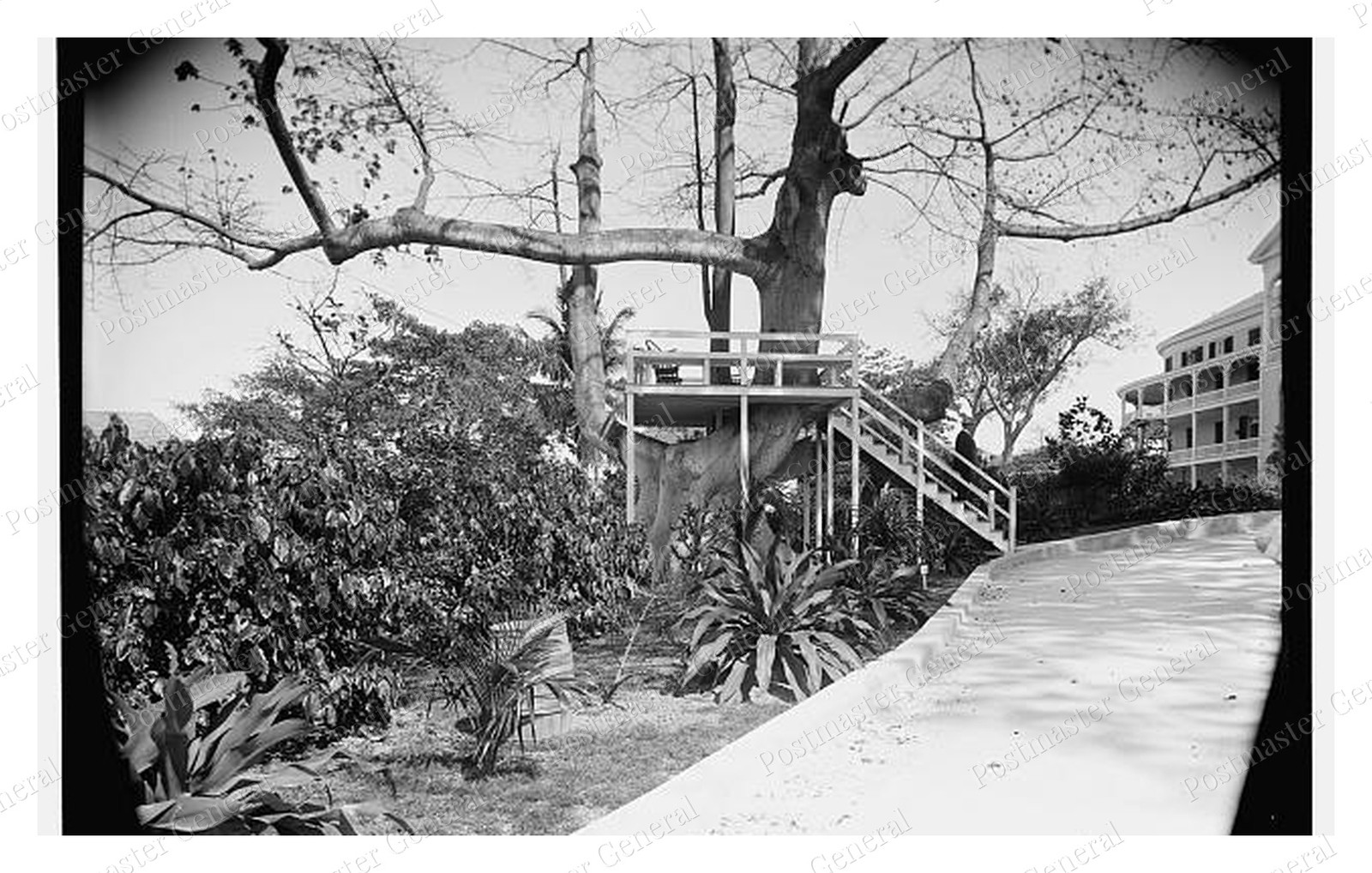 Nassau Bahamas Royal Victoria Hotel Standard Postcard COPY RPPC