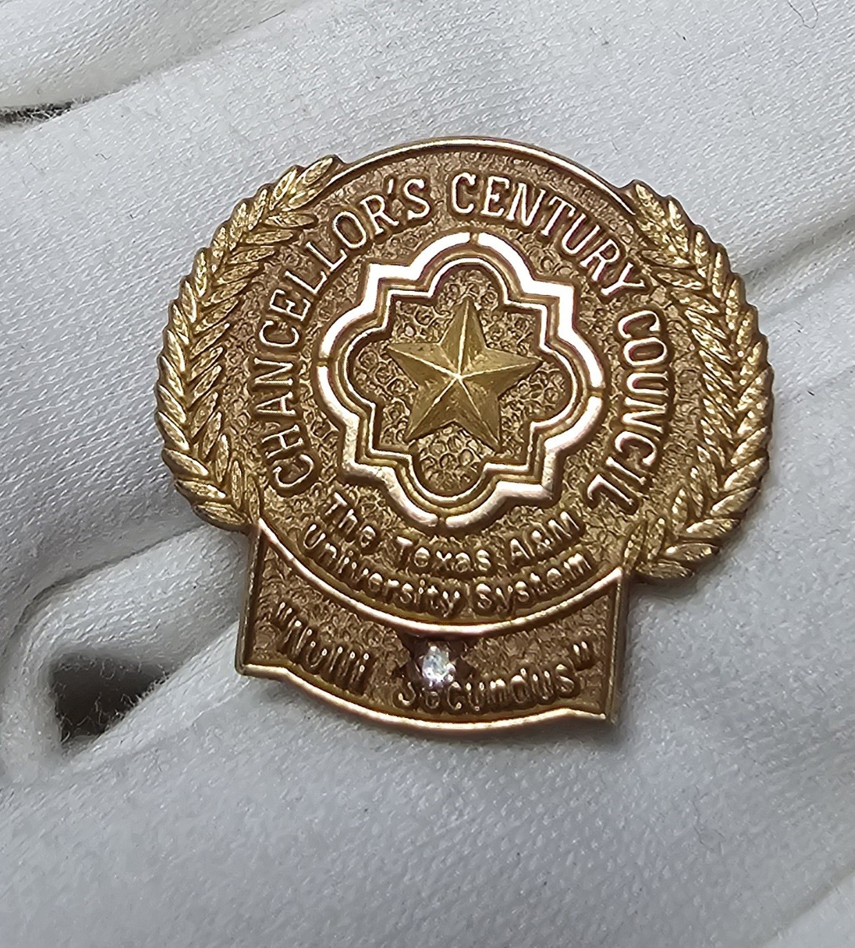 Texas A&M Chancellor’s Century Council 1/10 10K Gold Filled Lapel Pin Stone