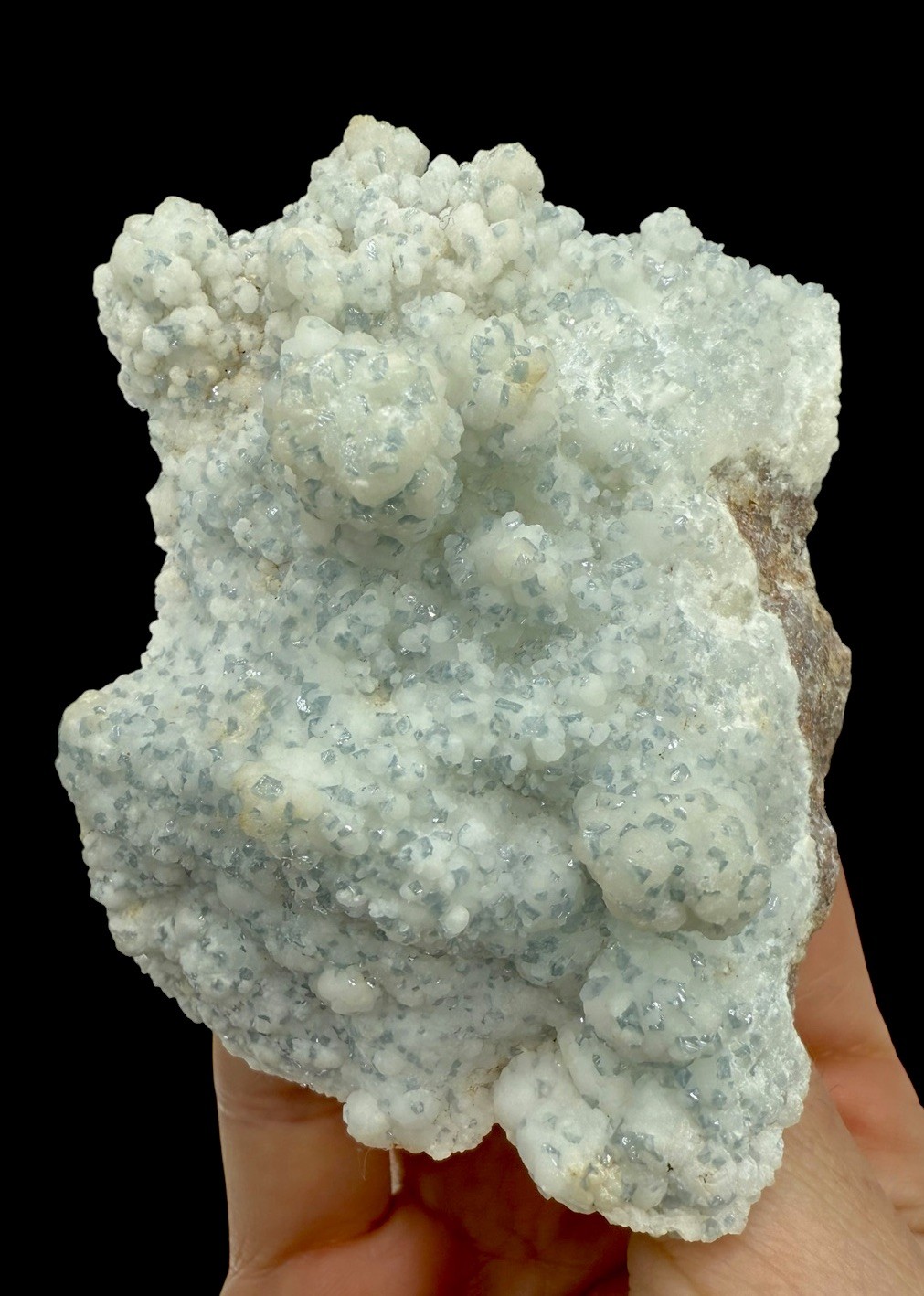 Calcite On Celestine Xls: Mojina Mine . Buenaventura . Chihuahua , Mexico ๐ฒ๐ฝ Calcite On Celestine Xls: Mojina Mine . Buenaventura . Chihuahua , Mexico ๐ฒ๐ฝ