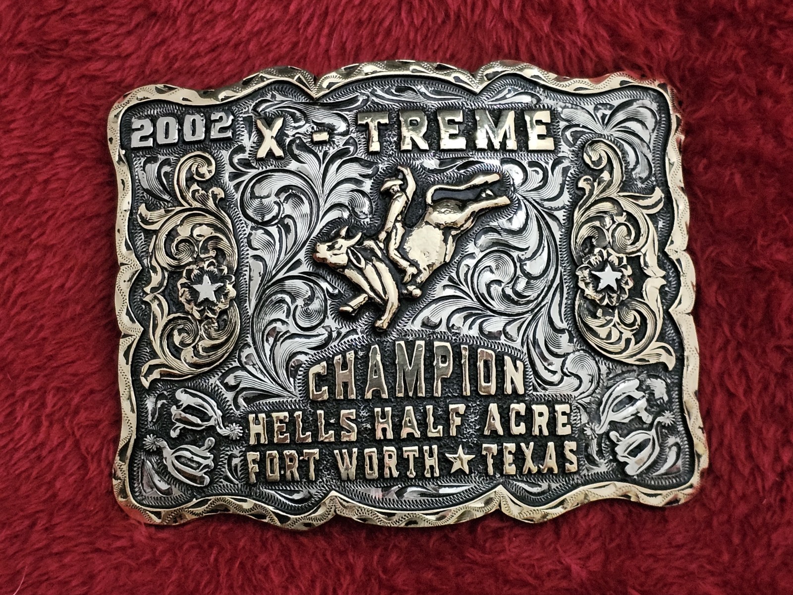Bull Riding☆2002☆ RODEO X~TREME CHAMPION☆Hells Half Acre☆TROPHY BUCKLE☆Rare☆764
