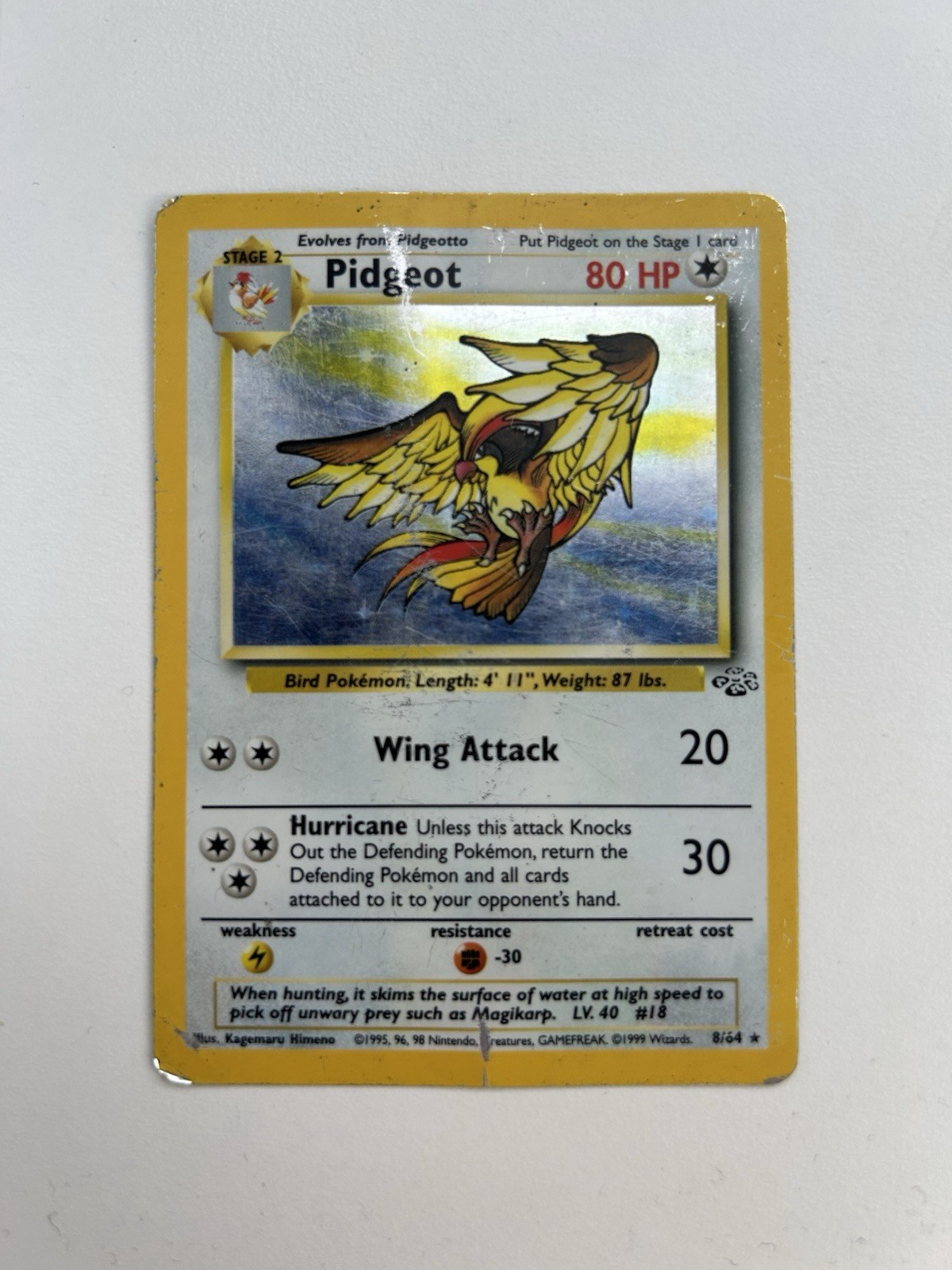 1999 Pokémon Pidgeot 8/64 Jungle Holo Rare WOTC Unlimited Vintage Card 1999 Pokémon Pidgeot 8/64 Jungle Holo Rare WOTC Unlimited Vintage Card