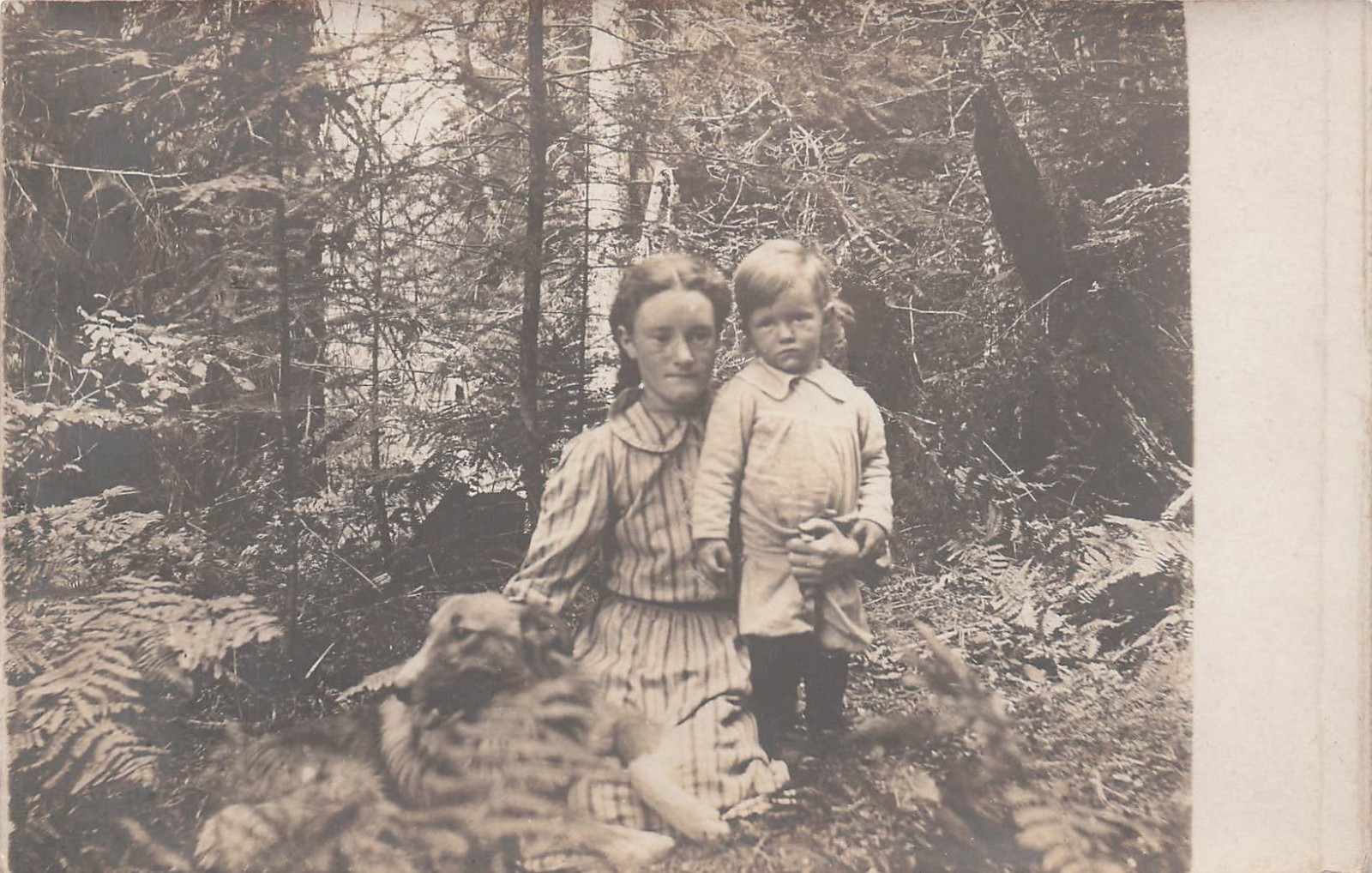 Antique Mother Child Photo Border Collie Pet Dog Puppy Forest RPPC Postcard 12A