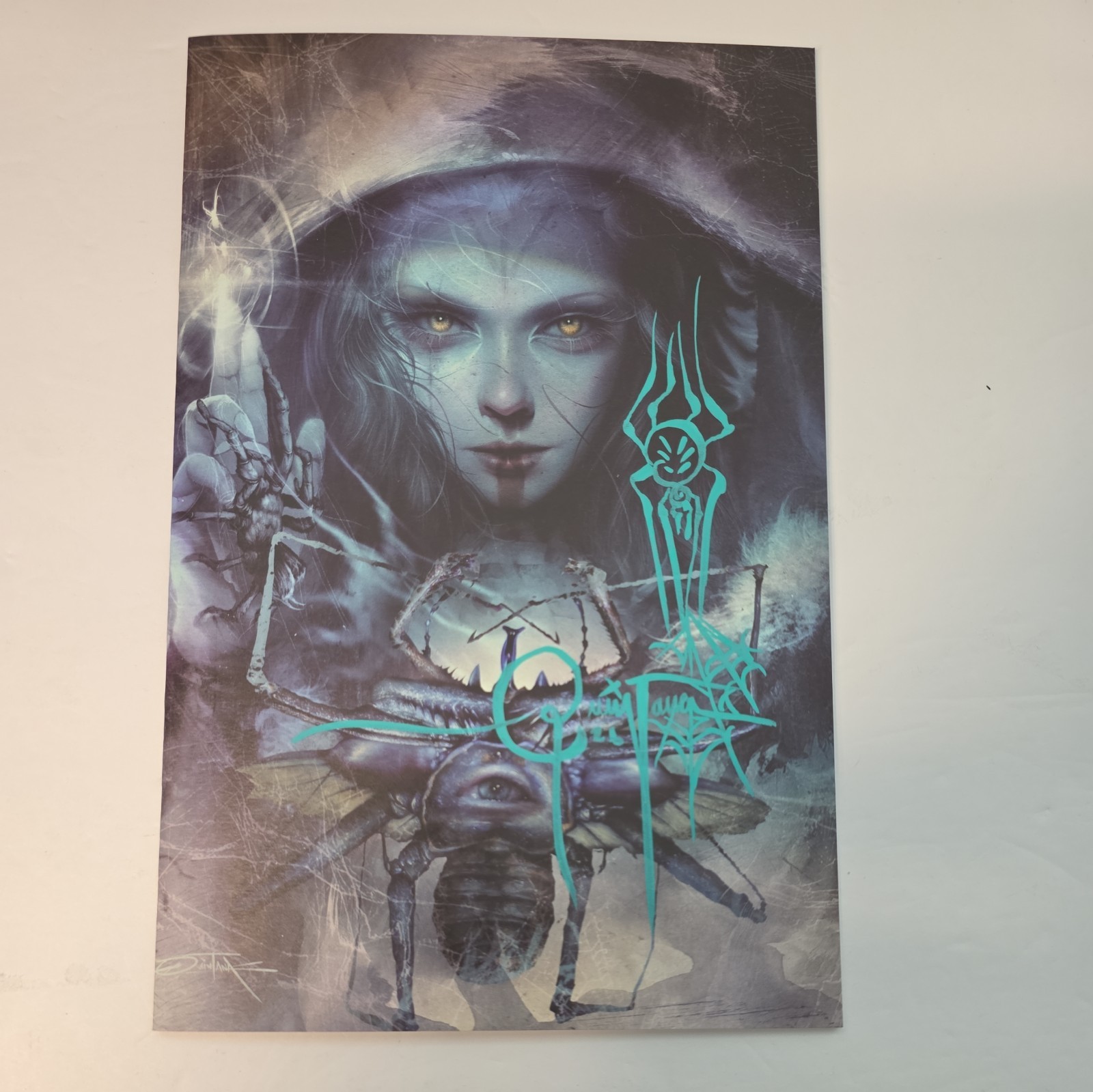 We Don’t Kill Spiders #1 SIGNED & Remarqued Virgin Variant Dan Quintana.