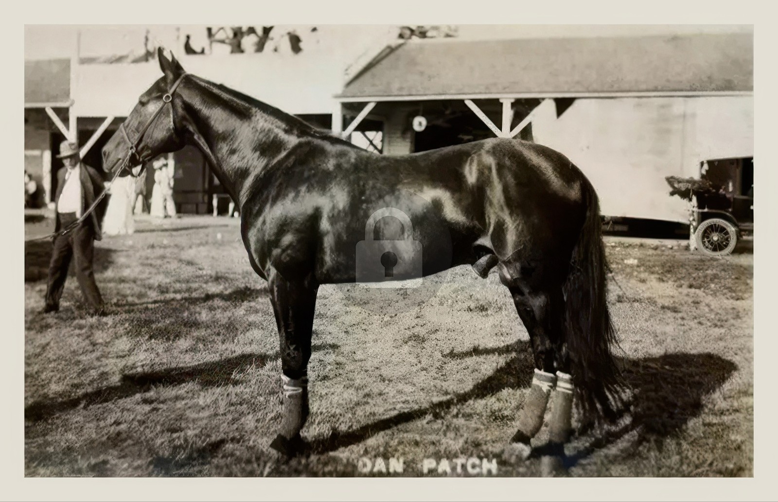 1900's Dan Patch Harness Race Champion RPPC Photo Postcard COPY 1900's Dan Patch Harness Race Champion RPPC Photo Postcard COPY