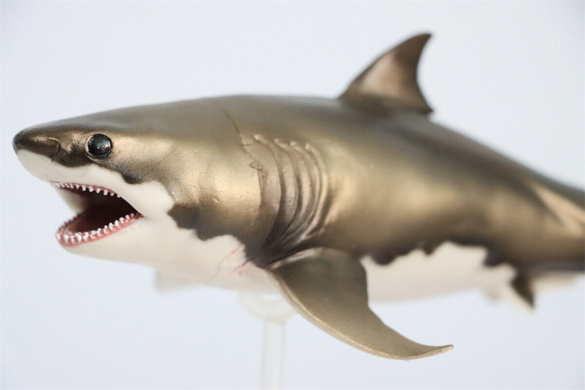 PNSO Cretoxyrhina Aidan Model Ocean Animal Shark Collector Dinosaur Decor New
