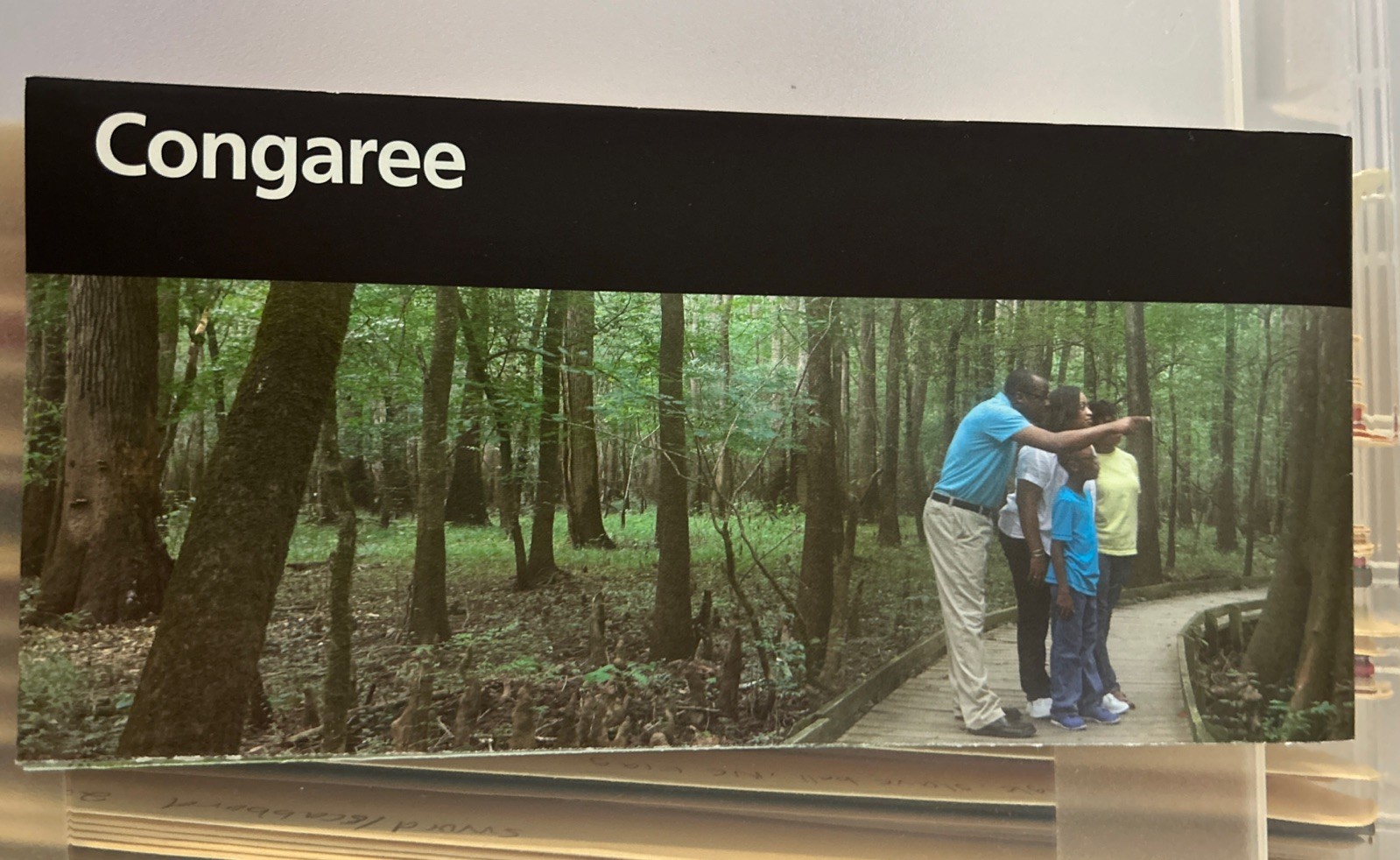 UNIGRID NPS Map & Guide Congaree National Park  Cypress tree South Carolina