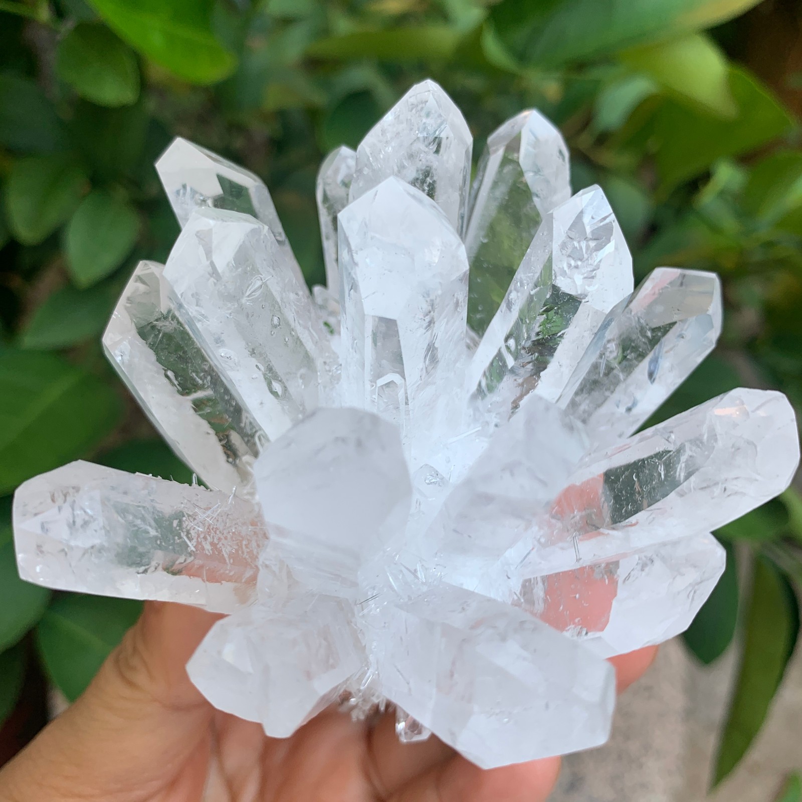 374G  New find white phantom quartz crystal cluster mineral specimen