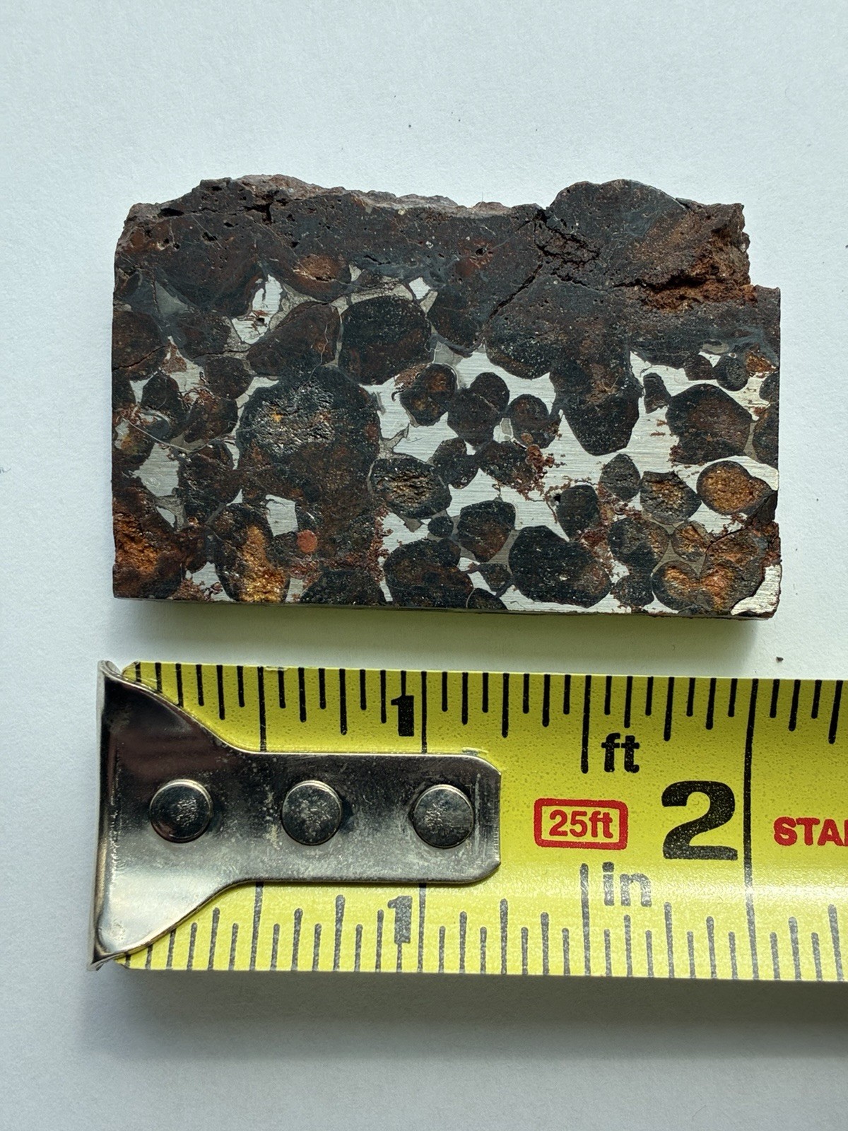 Slice Of Pallasite Brecciated iron-rich rock With Stand Slice Of Pallasite Brecciated iron-rich rock With Stand
