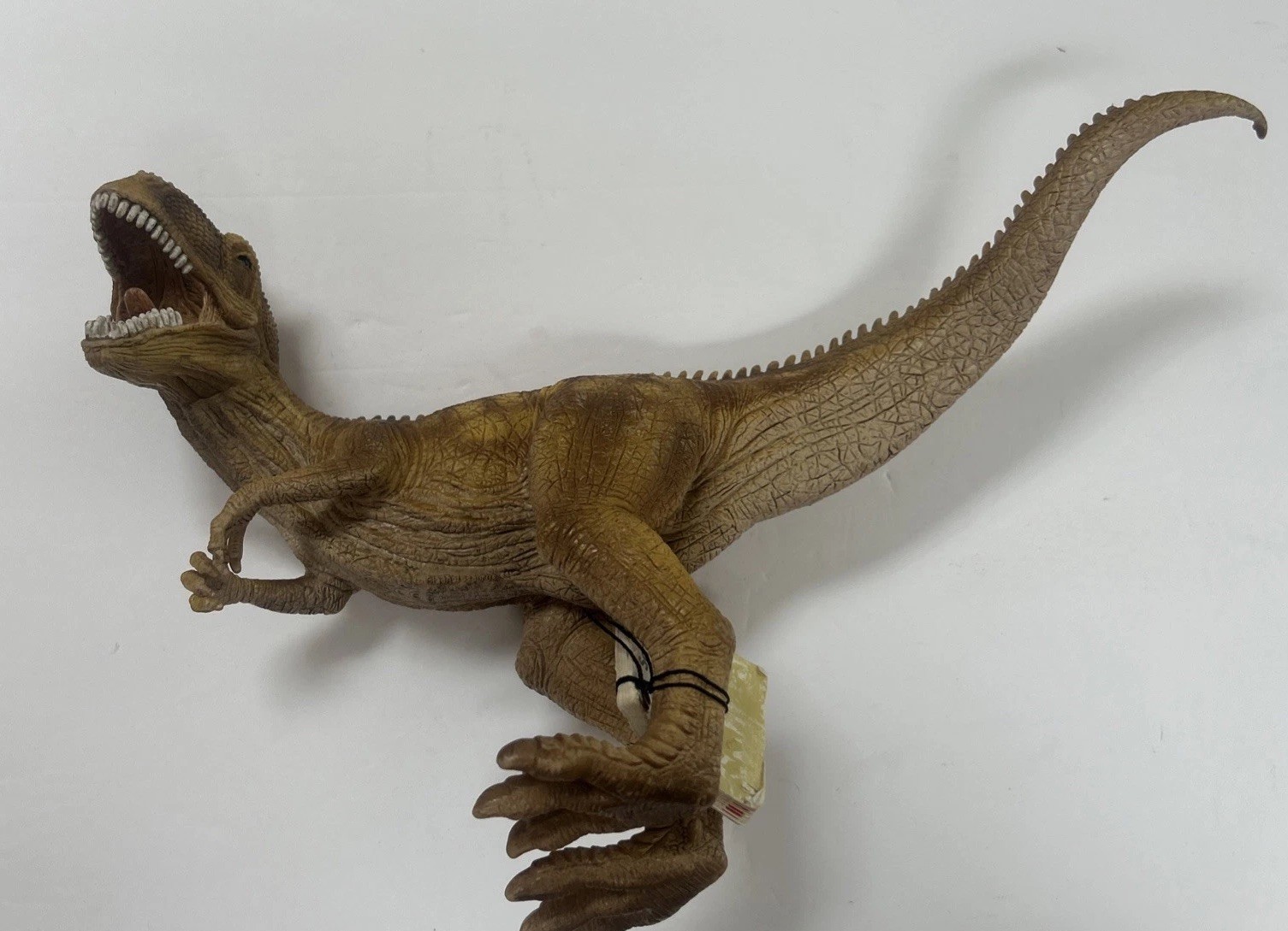Schleich Dinosaur Giganotosaurus 2009 (13