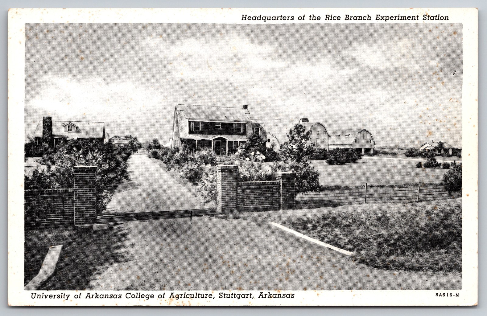 Stuttgart, Arkansas - University College of Agriculture -Rice Branch Postcard S1