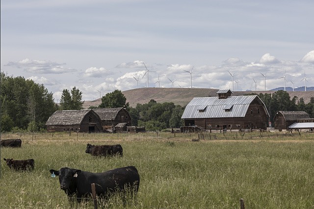 Photo:Farm scene near Thorp in central Washington