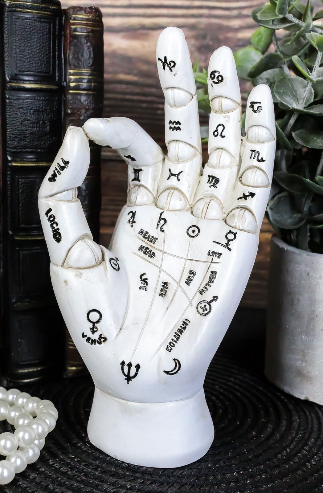 Psychic Fortune Teller Chirology Palmistry Hand Palm With Lines Mounts Figurine Psychic Fortune Teller Chirology Palmistry Hand Palm With Lines Mounts Figurine