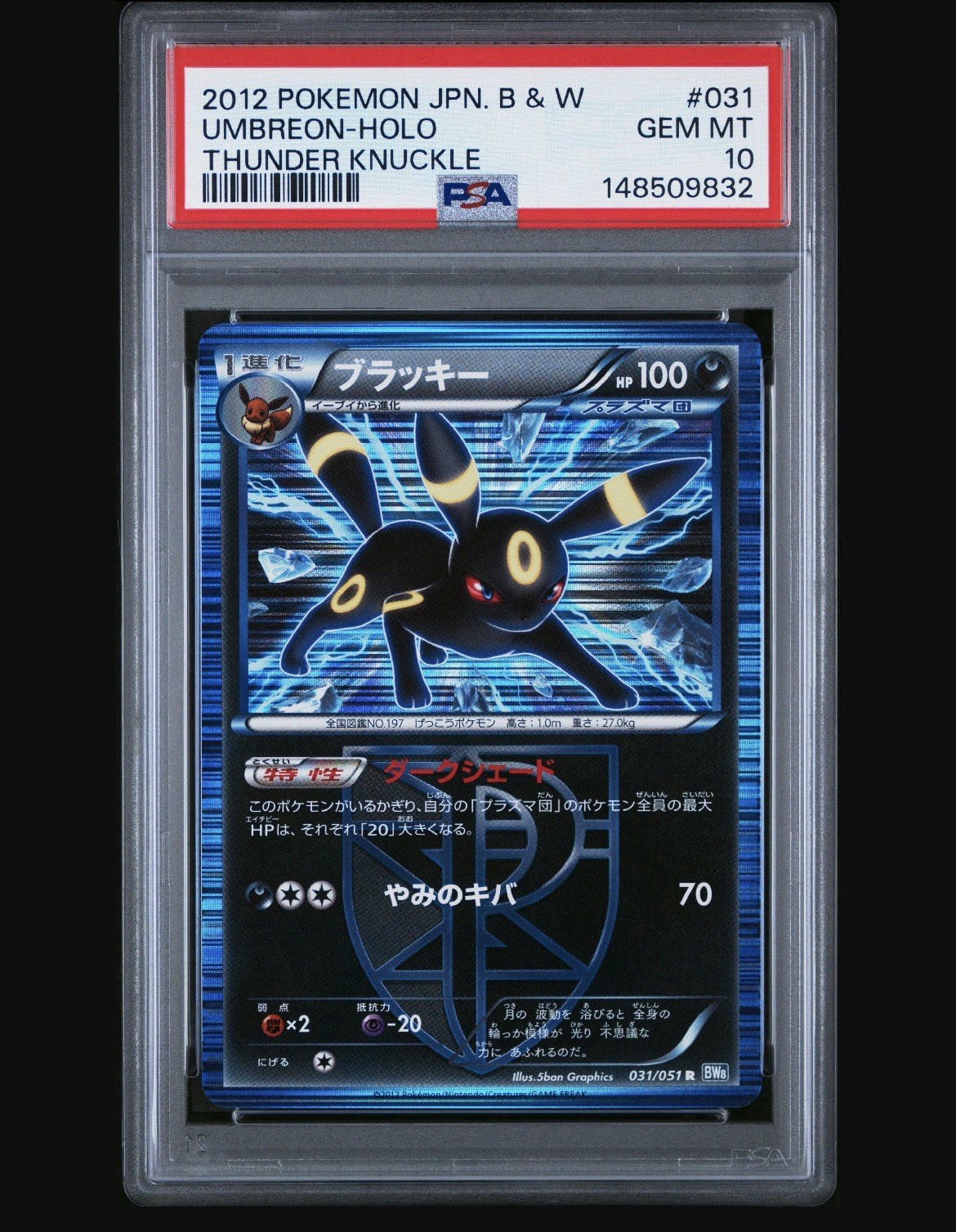 Umbreon 031 Thunder Knuckle Unlimited Print Super Low Pop 76 - PSA 10 NEW CERT Umbreon 031 Thunder Knuckle Unlimited Print Super Low Pop 76 - PSA 10 NEW CERT