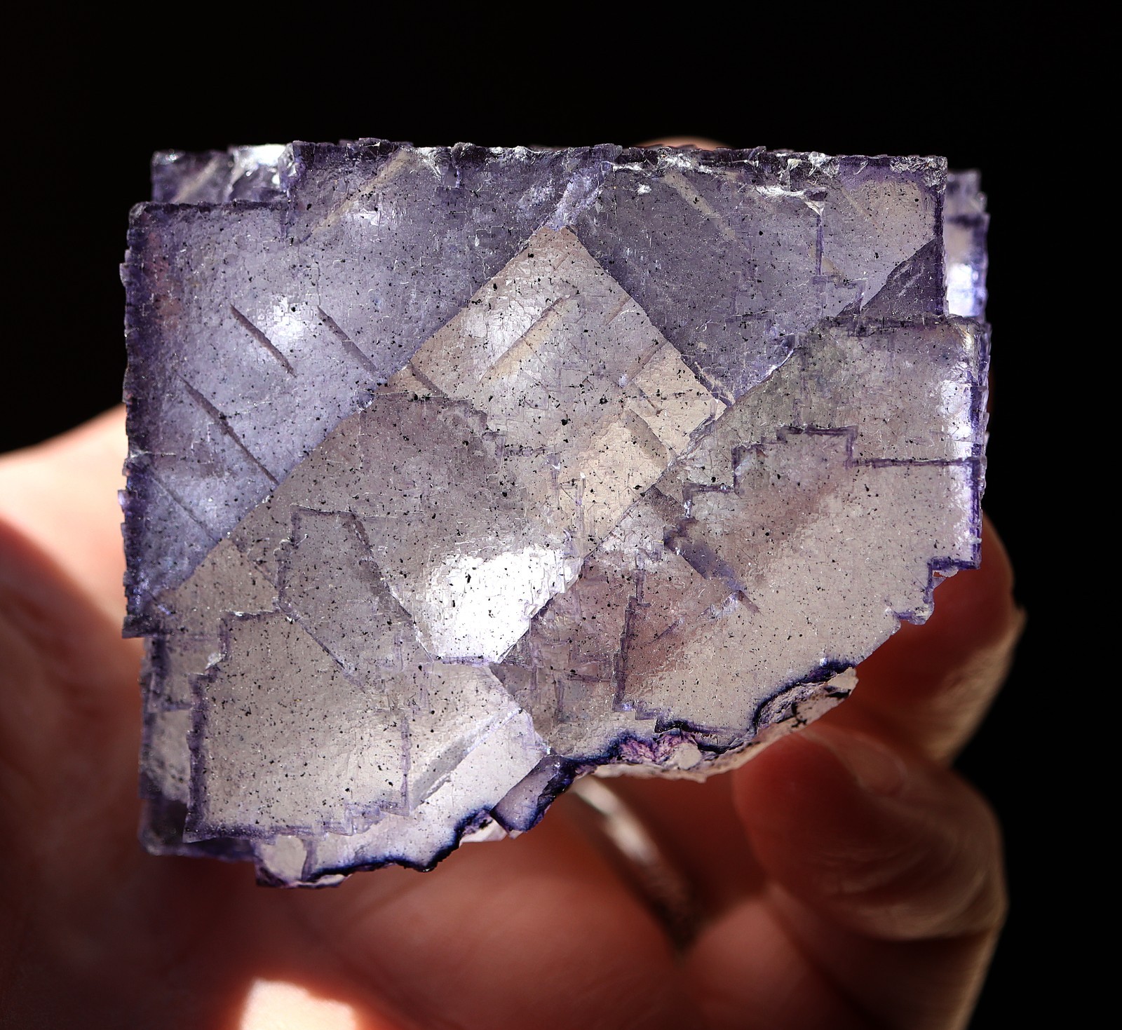 Fluorite crystal with petroleum inclusions. Elmwood mine, Carthage, Tennessee US