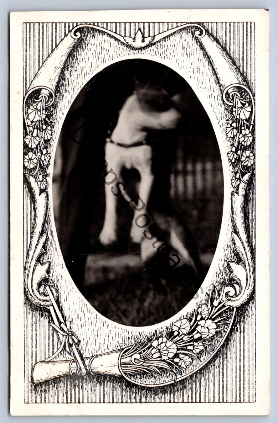 K60/ Interesting RPPC Postcard c1910 Pet Dog Jumping Fancy Border 1