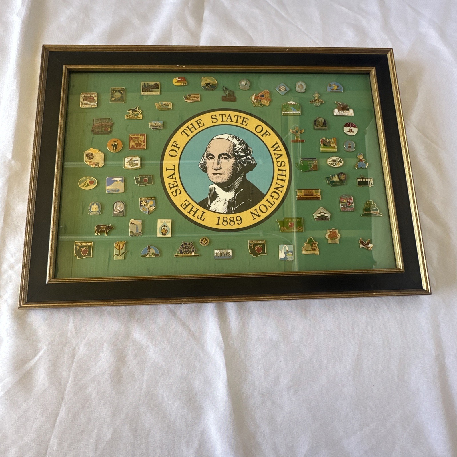 Vintage Washington State Enamel Lapel Pin Collection Shadow Box Seal Size 21x15