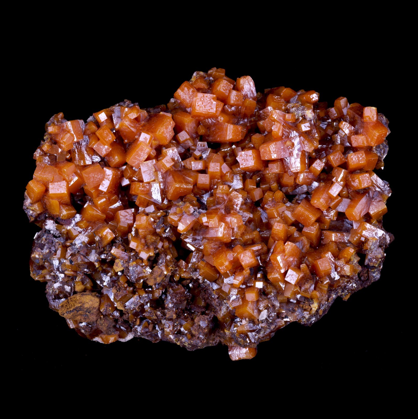 Exceptional Orange Wulfenite Plate Covered in Crystals - Los Lamentos, Mexico Exceptional Orange Wulfenite Plate Covered in Crystals - Los Lamentos, Mexico