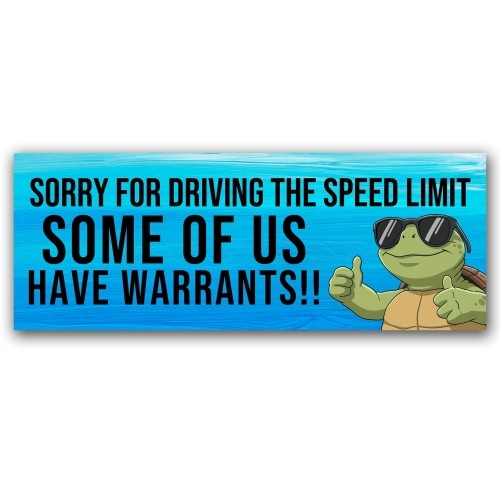 Magnet Me Up Sorry for Driving The Speed Limit Car Magnet - 3x8\