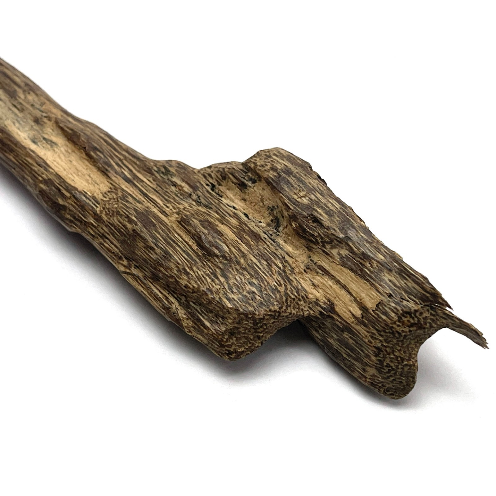 11grams Rare Wild High Resinuos Peninsular Worm Hole Agarwood Piece 马来半岛重油虫漏蚁漏沉香 11grams Rare Wild High Resinuos Peninsular Worm Hole Agarwood Piece 马来半岛重油虫漏蚁漏沉香