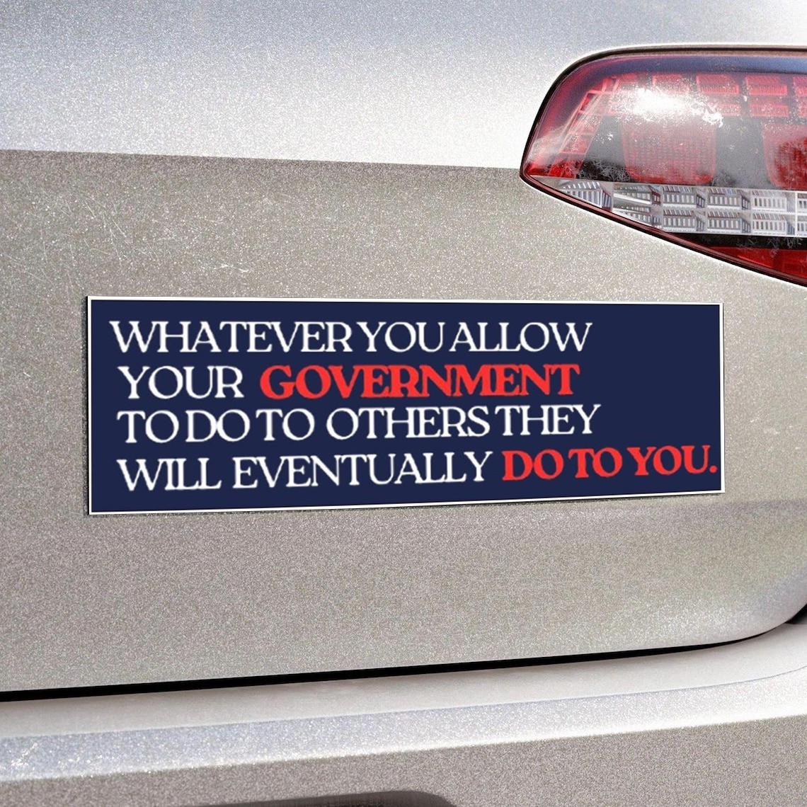 Whatever You Allow Your Government Car Magnet Human Rights Vinyl Sticker